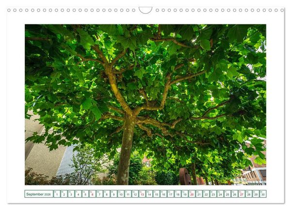 Produktbild: Gottmadingen im Hegau (Wandkalender 2026 DIN A3 quer), CALVENDO Monatskalender