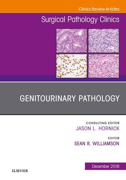 Produktbild: Genitourinary Pathology, An Issue of Surgical Pathology Clinics E-Book