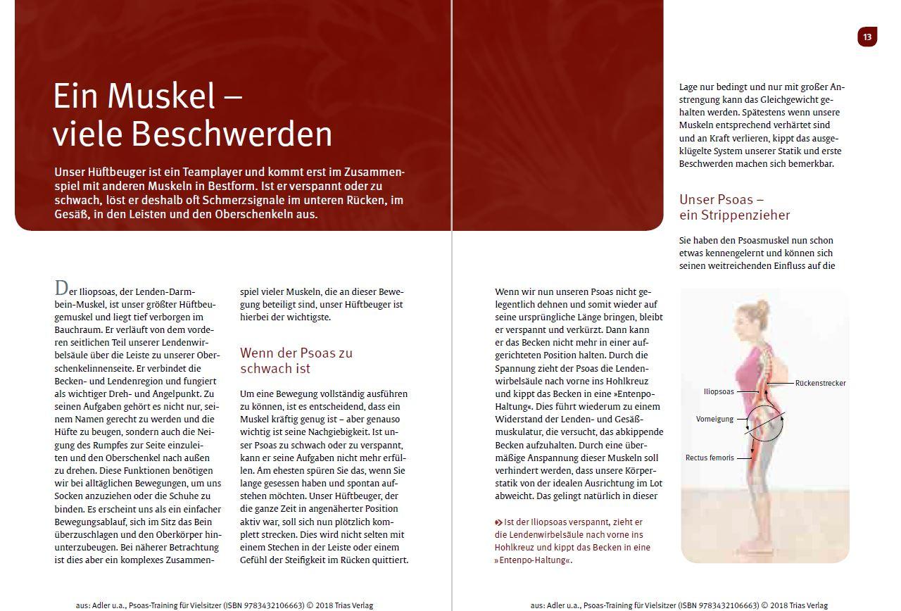 Produktbild: Psoas-Training für Vielsitzer
