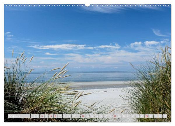 Produktbild: Amrum, die Perle in der Nordsee (hochwertiger Premium Wandkalender 2026 DIN A2 quer), Kunstdruck in Hochglanz