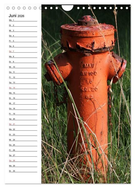 Produktbild: Nostalgie Hydranten (Wandkalender 2026 DIN A4 hoch), CALVENDO Monatskalender