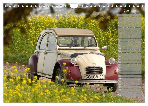Produktbild: Kultautomobil Ente Citro&euml;n 2CV (Wandkalender 2025 DIN A4 quer), CALVENDO Monatskalender