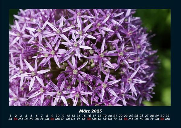 Produktbild: Blumenkalender 2025 Fotokalender DIN A4