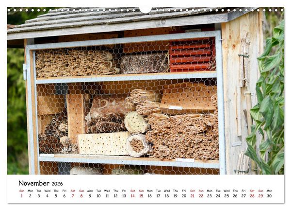 Produktbild: Wild bees - The life of solitary bees in insect hotels (Wall Calendar 2026 DIN A3 landscape), CALVENDO 12 Month Wall Calendar