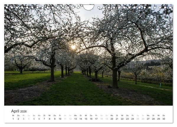 Produktbild: Du sch&ouml;nes Wiesbaden (Wandkalender 2026 DIN A4 quer), CALVENDO Monatskalender