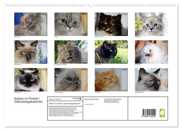 Produktbild: Katzen im Portr&auml;t / Geburtstagskalender (hochwertiger Premium Wandkalender 2027 DIN A2 quer), Kunstdruck in Hochglanz