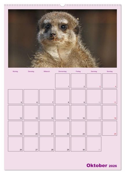Produktbild: Erdm&auml;nnchen / Terminplaner (Wandkalender 2026 DIN A2 hoch), CALVENDO Monatskalender