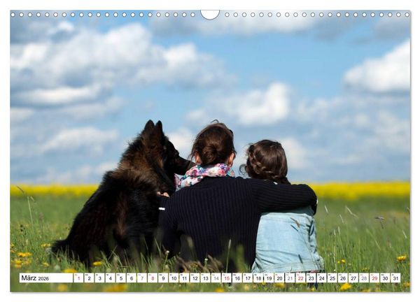 Produktbild: Deutscher Sch&auml;ferhund - Der beste Freund des Menschen (Wandkalender 2026 DIN A3 quer), CALVENDO Monatskalender