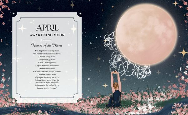 Produktbild: The Full Moon Yearbook