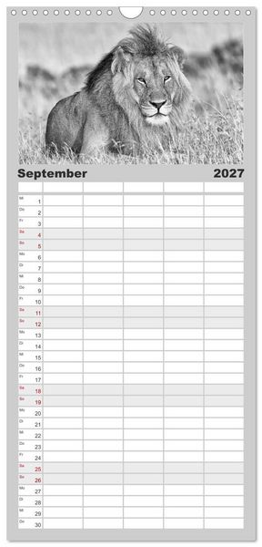 Produktbild: Familienplaner 2027 - Afrika Schwarz - Weiss mit 5 Spalten (Wandkalender, 21 x 45 cm) CALVENDO