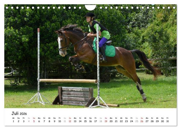 Produktbild: Pony Springreiten (Wandkalender 2026 DIN A4 quer), CALVENDO Monatskalender