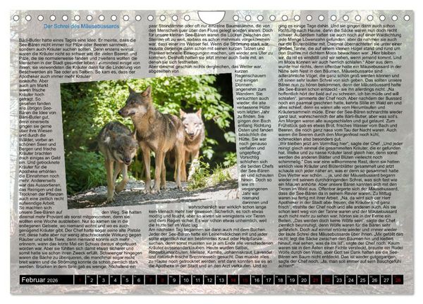 Produktbild: Neue Abenteuer der See-B&auml;ren (Wandkalender 2026 DIN A4 quer), CALVENDO Monatskalender
