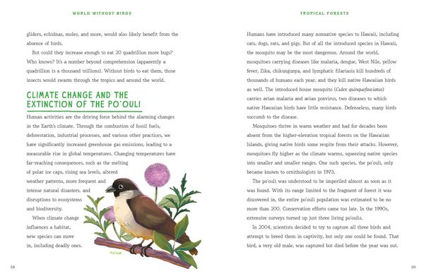 Produktbild: World Without Birds