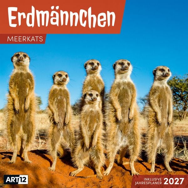 Produktbild: Erdm&auml;nnchen Kalender 2027 - 30x30 - Art12