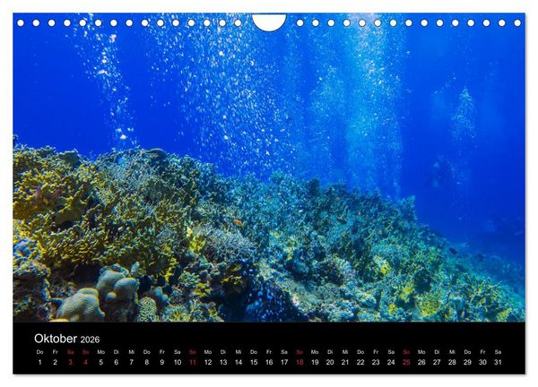 Produktbild: Abu Nuhas - Wracks im Roten Meer (Wandkalender 2026 DIN A4 quer), CALVENDO Monatskalender