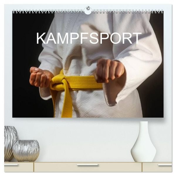 Kampfsport (hochwertiger Premium Wandkalender 2026 DIN A2 quer), Kunstdruck in Hochglanz