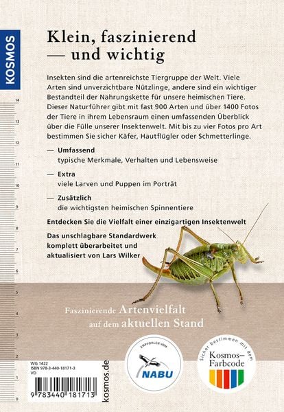Produktbild: Der KOSMOS Insektenf&uuml;hrer
