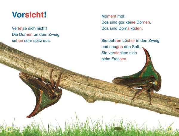 Produktbild: SUPERLESER! Insekten, top getarnt