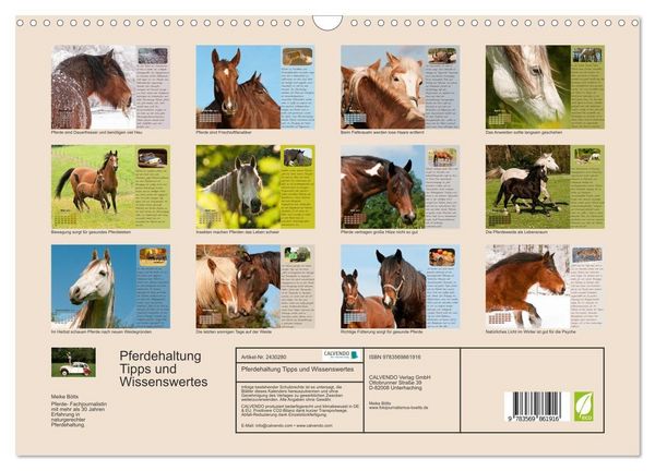 Produktbild: Pferdehaltung Tipps und Wissenswertes (Wandkalender 2027 DIN A3 quer), CALVENDO Monatskalender