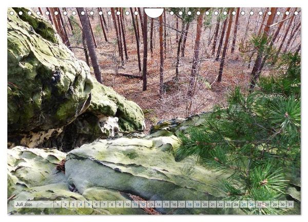 Produktbild: Blankenburg im Harz (Wandkalender 2026 DIN A4 quer), CALVENDO Monatskalender