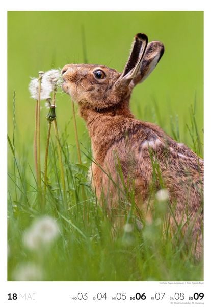 Produktbild: Natur Wochenkalender 2027