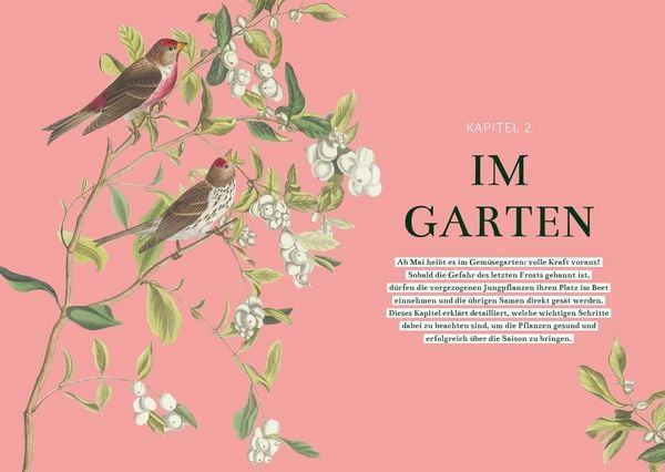 Produktbild: Das Gem&uuml;segarten 1 x 1