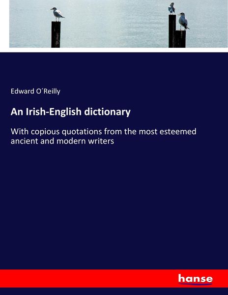 Produktbild: An Irish-English dictionary