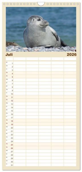 Produktbild: Familienplaner 2026 - Das Leben der Robben mit 5 Spalten (Wandkalender, 21 x 45 cm) CALVENDO
