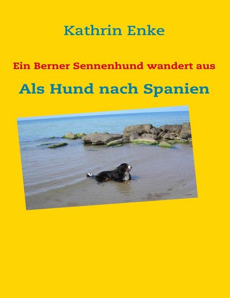 Produktbild: Ein Berner Sennenhund wandert aus