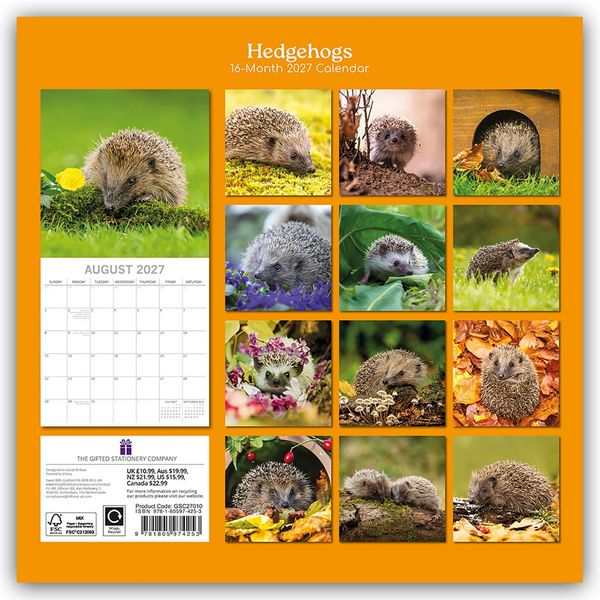 Produktbild: Hedgehogs &ndash; Igel 2027 &ndash; 16-Monatskalender