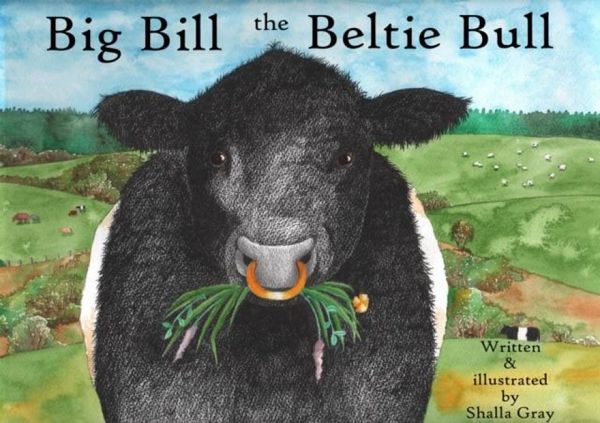 Produktbild: Big Bill the Beltie Bull