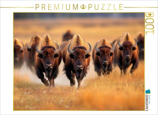 Produktbild: CALVENDO Puzzle B&uuml;ffel | 1000 Teile Lege-Gr&ouml;&szlig;e 64x48cm Foto-Puzzle f&uuml;r gl&uuml;ckliche Stunden