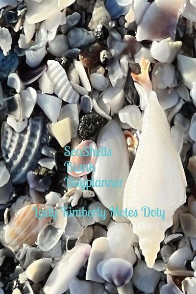 Produktbild: Seashells