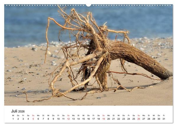 Produktbild: Insel R&uuml;gen Impressionen (Wandkalender 2026 DIN A2 quer), CALVENDO Monatskalender