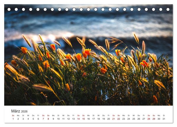 Produktbild: Die magische Welt der Blumen (Tischkalender 2026 DIN A5 quer), CALVENDO Monatskalender