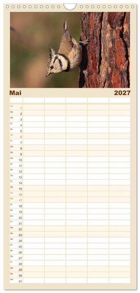 Produktbild: Familienplaner 2027 - V&ouml;gel ganz nah mit 5 Spalten (Wandkalender, 21 x 45 cm) CALVENDO