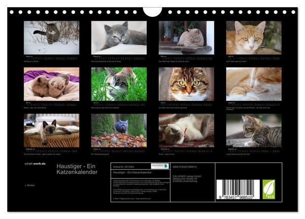 Produktbild: Haustiger - Ein Katzenkalender (Wandkalender 2026 DIN A4 quer), CALVENDO Monatskalender