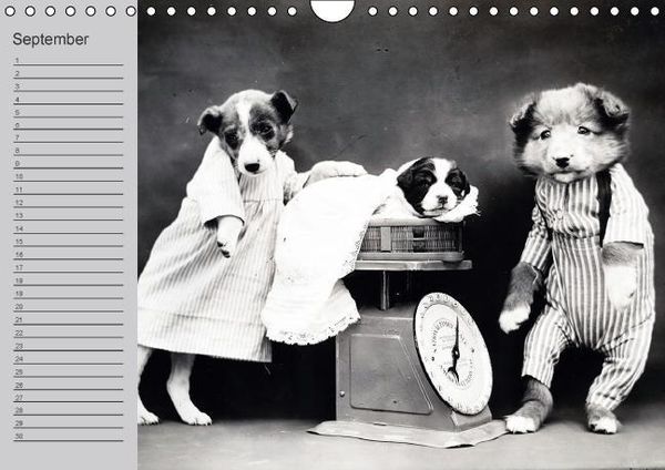 Produktbild: Katzen und Hunde - Nostalgie auf Pfoten (Wandkalender immerw&auml;hrend DIN A4 quer)