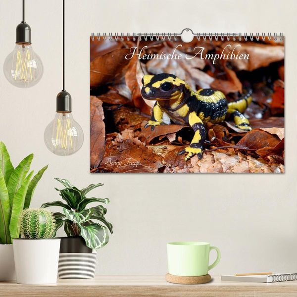 Produktbild: Heimische Amphibien (Wandkalender 2026 DIN A4 quer), CALVENDO Monatskalender