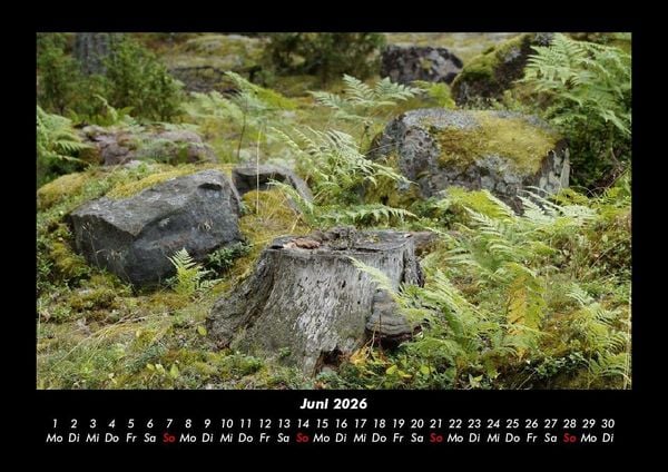Produktbild: Bilder der Natur 2026 Fotokalender DIN A3
