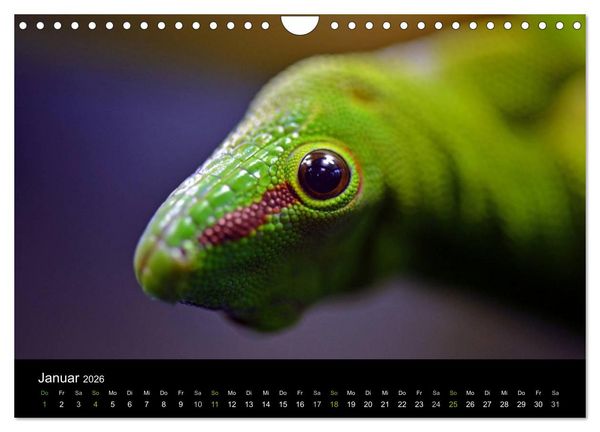 Produktbild: Reptilien (Wandkalender 2026 DIN A4 quer), CALVENDO Monatskalender