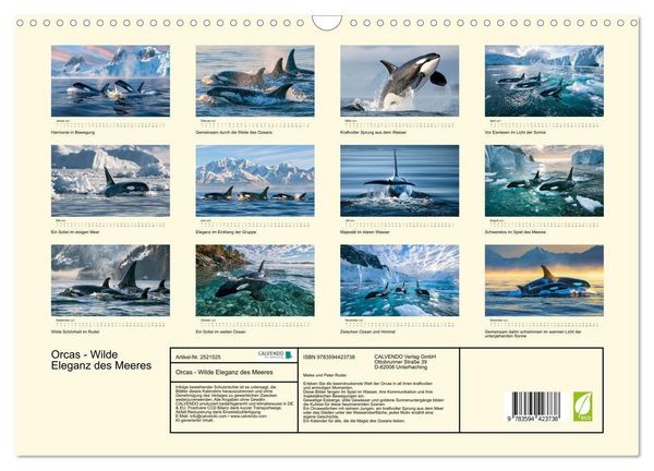 Produktbild: Orcas - Wilde Eleganz des Meeres (Wandkalender 2027 DIN A3 quer), CALVENDO Monatskalender