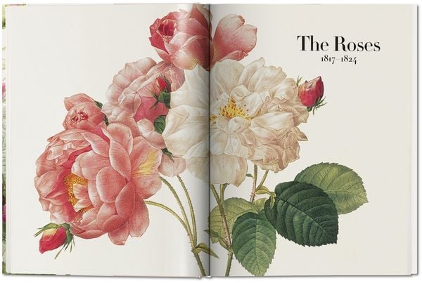 Produktbild: Redout&eacute;. The Book of Flowers