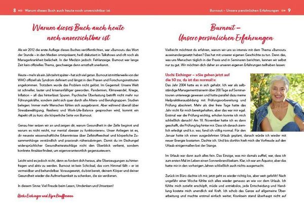 Produktbild: Der Burnout-Irrtum