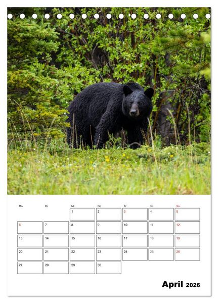 Produktbild: Mein Sch&ouml;nes Kanada (Tischkalender 2026 DIN A5 hoch), CALVENDO Monatskalender