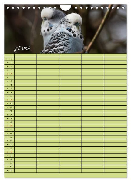 Produktbild: Der Wellensittich-Familienplaner (Wandkalender 2026 DIN A4 hoch), CALVENDO Monatskalender