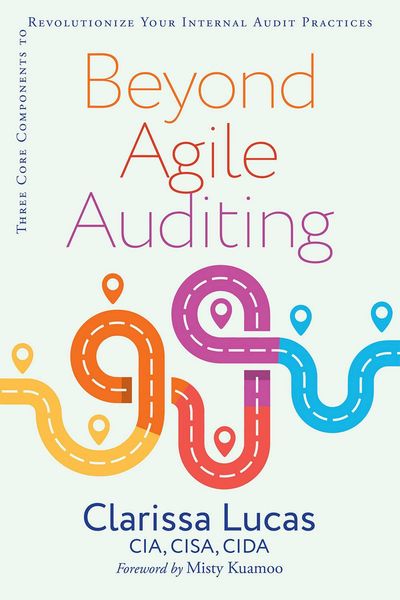 Produktbild: Beyond Agile Auditing