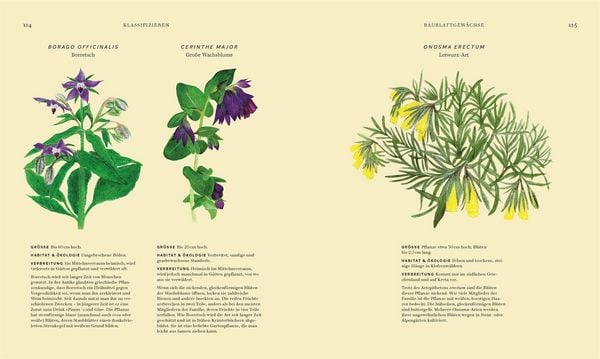 Produktbild: Wildpflanzen