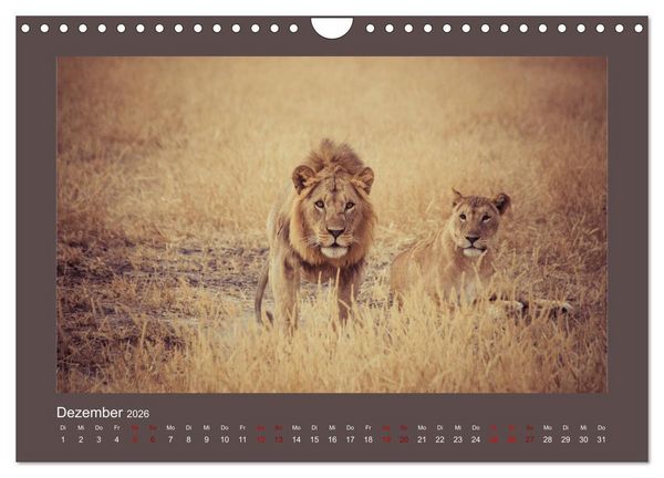 Produktbild: Tansania - Mensch, Tier und Landschaft (Wandkalender 2026 DIN A4 quer), CALVENDO Monatskalender