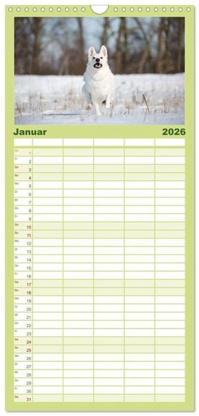 Produktbild: Familienplaner 2026 - POWERHUNDE 2026 mit 5 Spalten (Wandkalender, 21 x 45 cm) CALVENDO